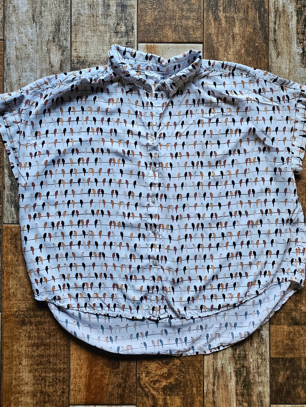 Jane and Delancey Bird Print Blouse XL Cottagecore Oversized Button Down Neutral